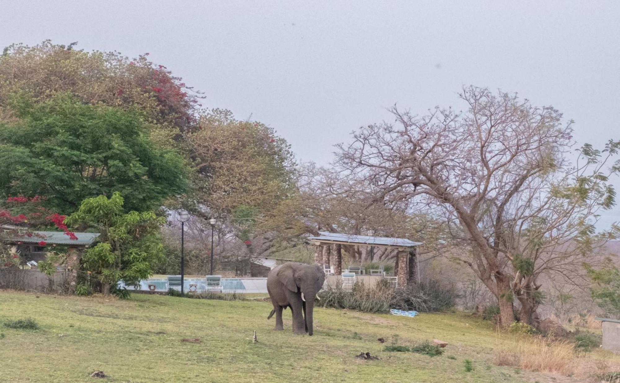 Shanjungu Musungwa Safari Lodge מראה חיצוני תמונה